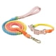 thumbnail image 4 of Colorful pu Leather dog Collars Pet Dog Leash Lead For Small Medium Large Dogs Pitbull Bulldog Pugs Beagle Outdoor Walking Rope ShopWise Round, 4 of 20