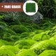 thumbnail image 5 of GOOHOCHY Micropaisaje Musgo Artificial Musgo Falso Mini Jardín Paisajismo Accesorio Adorno Musgo Falso, 5 of 8