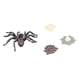 thumbnail image 5 of Juguete de Estatuilla de Crecimiento de Araña Conjunto de Modelo de Ciclo de Vida de Crecimiento de Araña Adornos de Figuras de Animales de Simulación para la Colección de ANGGREK Otros, 5 of 8