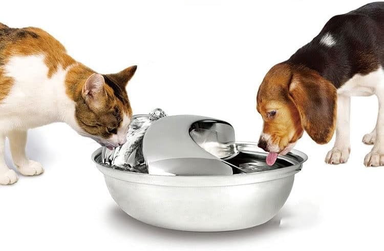 RKXQT Cat Water Fountain Stainless Steel,Pet Fountain Dog Water Dispenser, Pet Drinking Fountain with Replacement Filters for Cats Dogs, Automatic Cat Dog Fountain