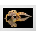thumbnail image 1 of Oesin, Dikky 14x11 White Modern Wood Framed Museum Art Print Titled - Leopard Gecko, 1 of 4
