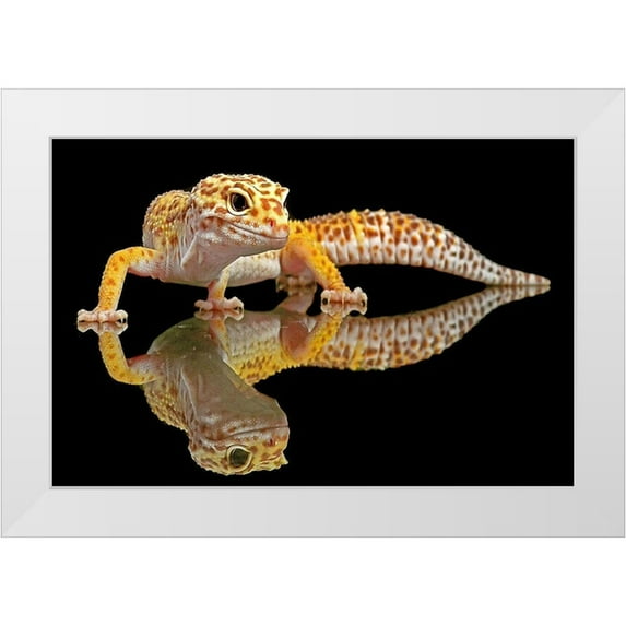 Oesin, Dikky 14x11 White Modern Wood Framed Museum Art Print Titled - Leopard Gecko