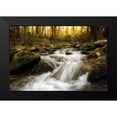 thumbnail image 2 of Amos, Andy 24x17 Black Modern Framed Museum Art Print Titled - Roaring Fork, 2 of 5