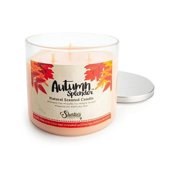 Autumn Splendor All Natural 3 Wick Candle - Made with Responsibly Sourced Soy and Essential Fragrance Oils - Phthalate & Paraffin Free, Vegan, Non-Toxic