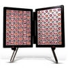 DPL II Panel System ONE Setting IR Red & Amber LEDâs