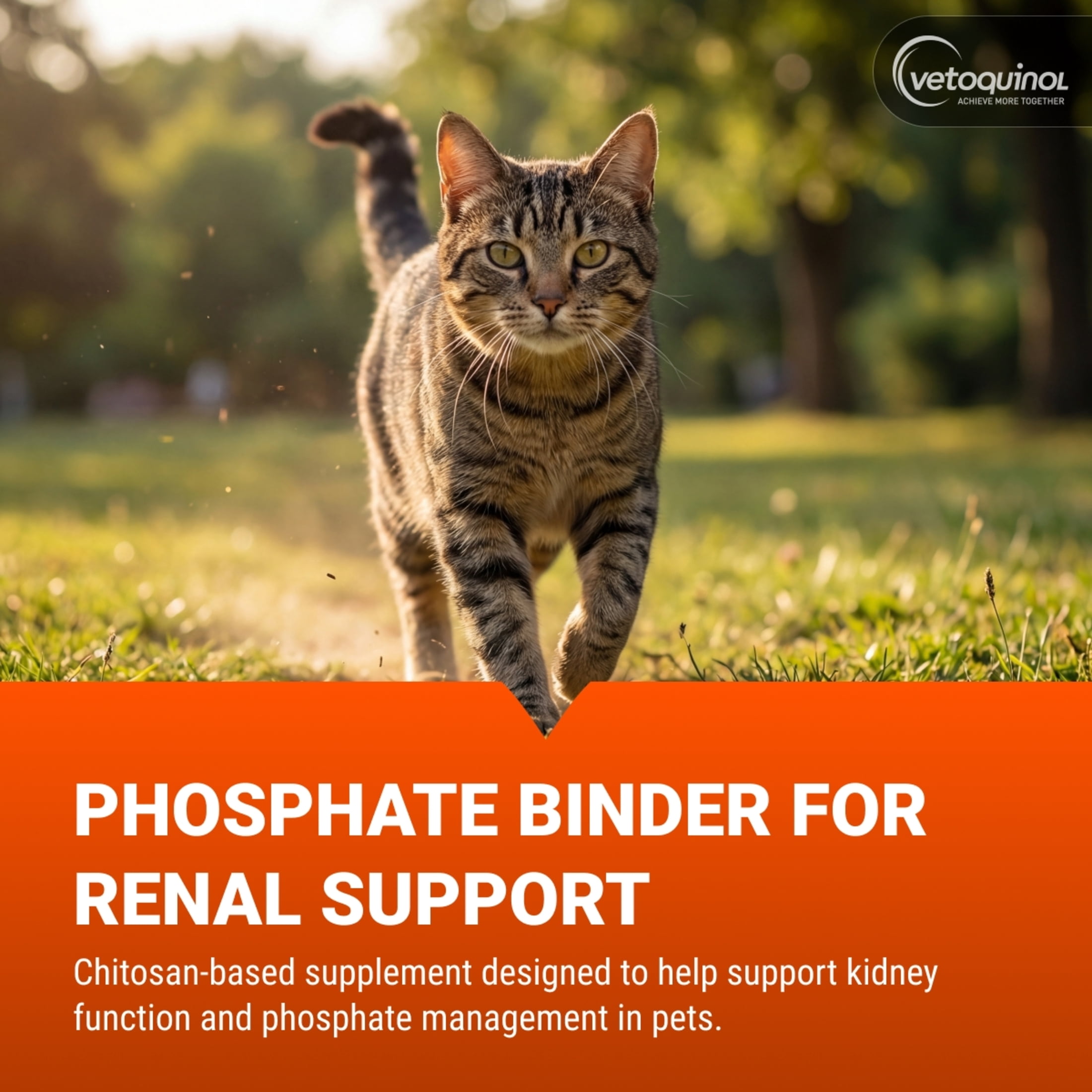 Vetoquinol Epakitin Renal Support Phosphate Binder Powder for Cats and Dogs, 60g