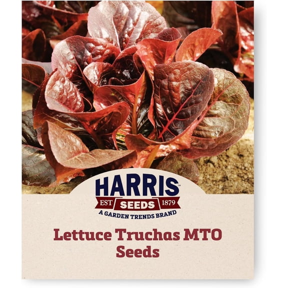 Harris Seeds Truchas Organic Romaine Lettuce, Red Little Gem Type, 50 Count