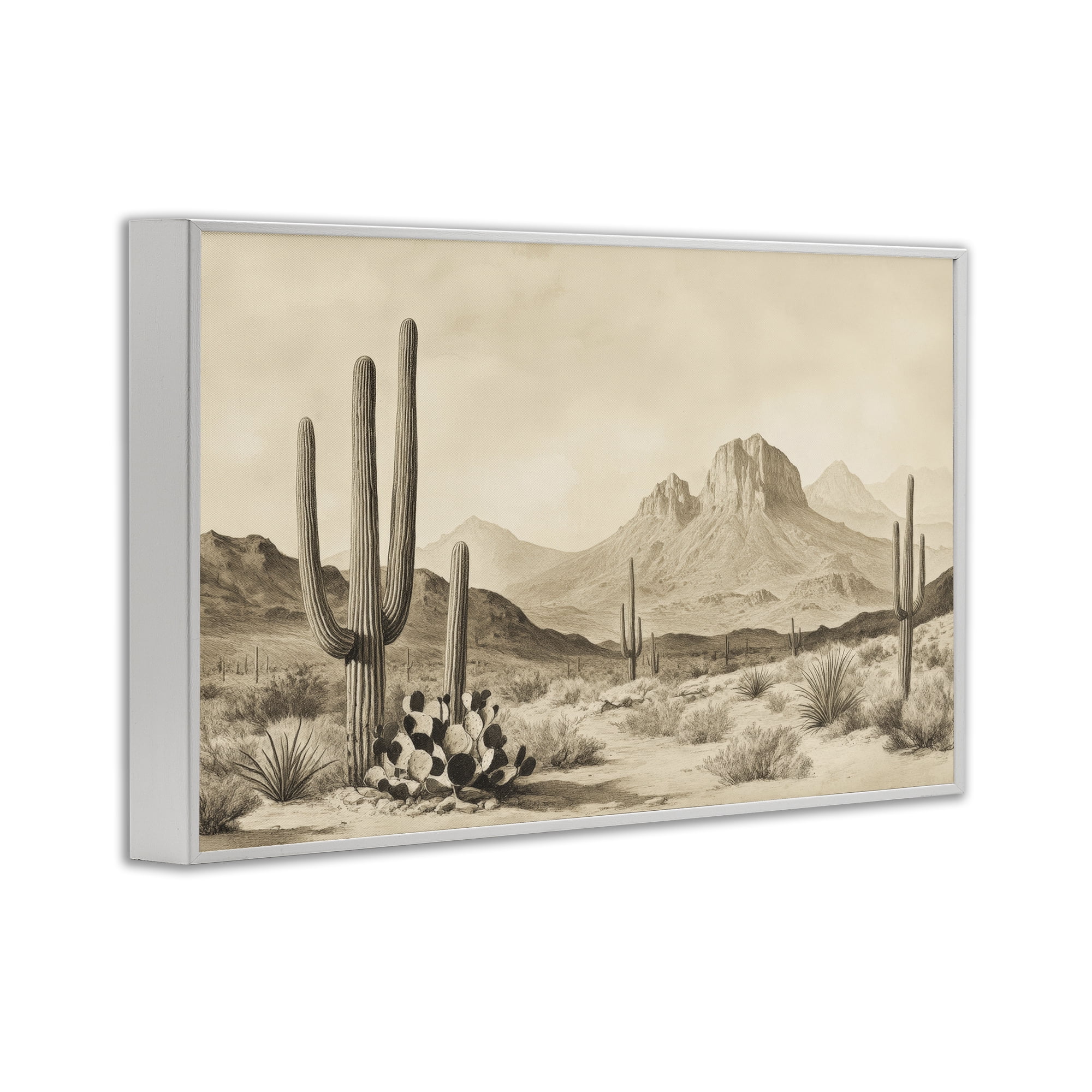 Stupell Industries Arizona Desert Vista White Framed Giclee Art, design by Petal Prints Design