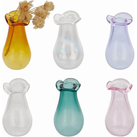 6Pcs 6 Colors Mini Flower Vase Miniature Glass Bud Vases Cat Whisker Small Clear Tiny Flower