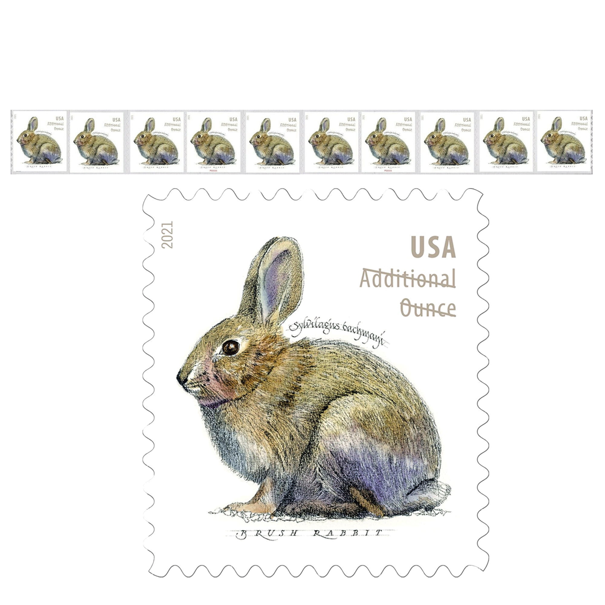 Brush Rabbit ADDITIONAL Ounce Rate USPS Postage Stamp 1 Strip of 10 US