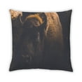 thumbnail image 2 of Ahgly Company Animals Bison Indoor Throw Pillow, 18 inch by 18 inch, 2 of 6