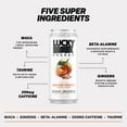 thumbnail image 4 of Lucky Energy Drink | Sugar Free Energy Drinks with Maca, Ginseng, Taurine, Beta-Alanine | Healthy Energy Drinks | 200mg Caffeine. Orange Drizzle 16oz., 4 of 6