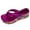 Hot Pink, variant on Women's Metallic Wedge Heels Thong Sandals Chunky Platform Flip Flops Slides Slip On Summer Beach Party Shoes