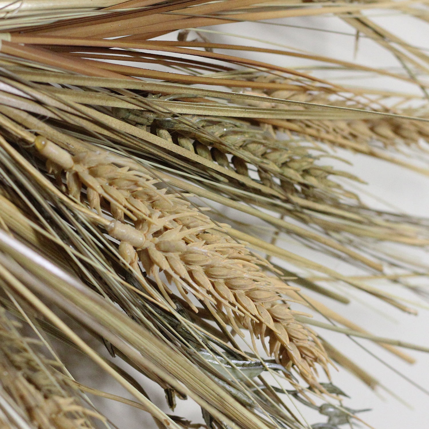 Wheat And Straw Stalks Artificial Wreath Brown 22 Inch Walmart Com Walmart Com
