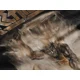 thumbnail image 2 of Playera Camiseta Kreator Phantom Antichrist, 2 of 4