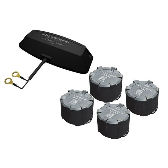 Sistema de control de presión de neumáticos ASA In-Command NCTP100