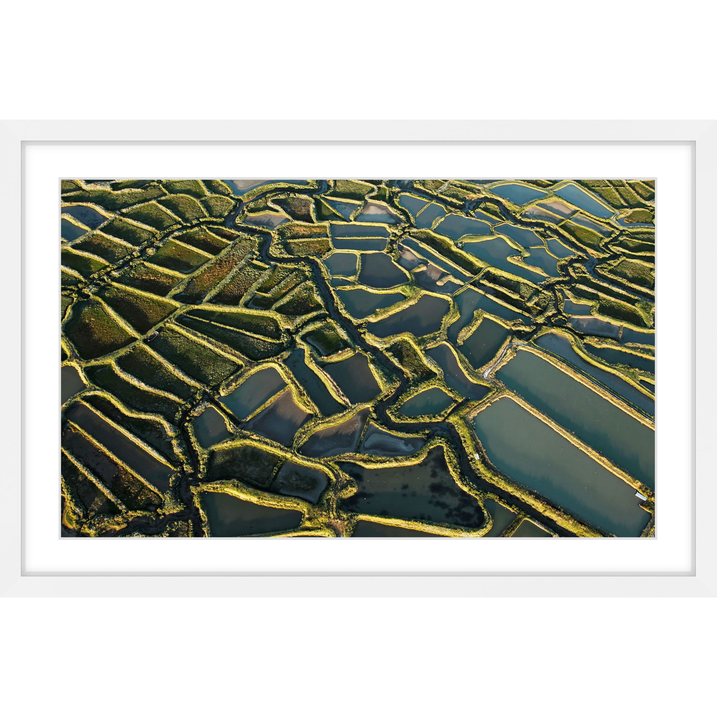 Marmont Hill "Waterways" Framed Painting Print