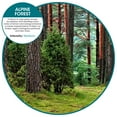 thumbnail image 3 of Fresh Products myfreshe Plug-in Air Freshener, Worry-free No Heat, No Glass, Dry Fragrance Refills, Made in the USA - Alpine Forest 2 pack, 3 of 7