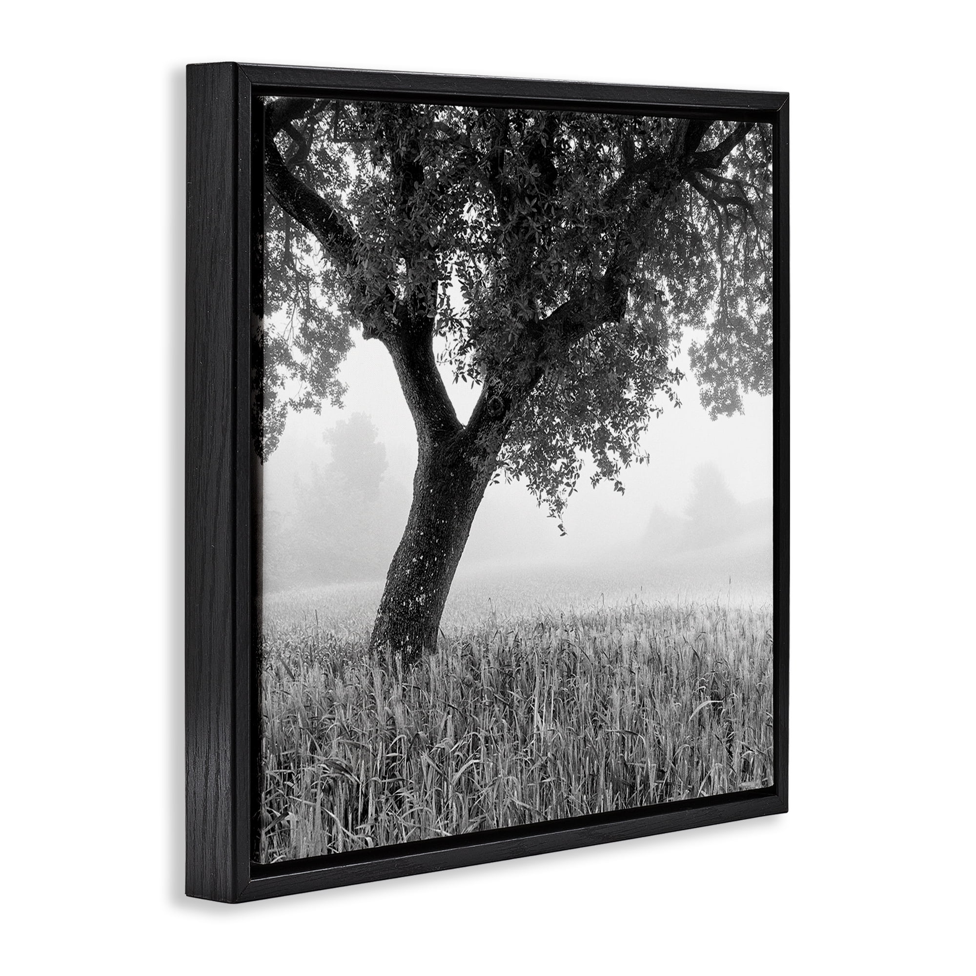 Stupell Industries Tuscan Morning Scenery Landscape & Nature Photography Black Floater Framed Canvas Art Print Wall Art, 18 x 18