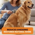 thumbnail image 6 of Double Row Dematting Rake Undercoat Deshedding Tool For Dogs And Cats  Dog Brush Shedding Long Hair Pet Mat Removal Detangling Control, 6 of 7