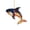 B001- Clear (Whale), variant on Window Hanging, Colorful Dragonfly Acrylic Stained Glass Window Hanging on Crescent Moon, 8X8 Inch Hanging Home Decoration, Handmade Dragonfly Car Charm Rearview Mirror Decor,