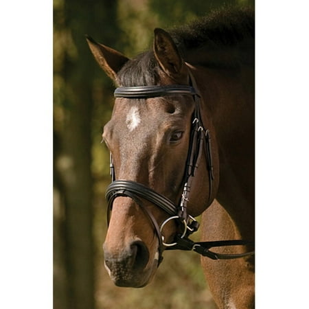 Pony Dressage Bridle - Henri De Rivel Padded Raised Dressage Bridle with Jawband Crank and Web Reins