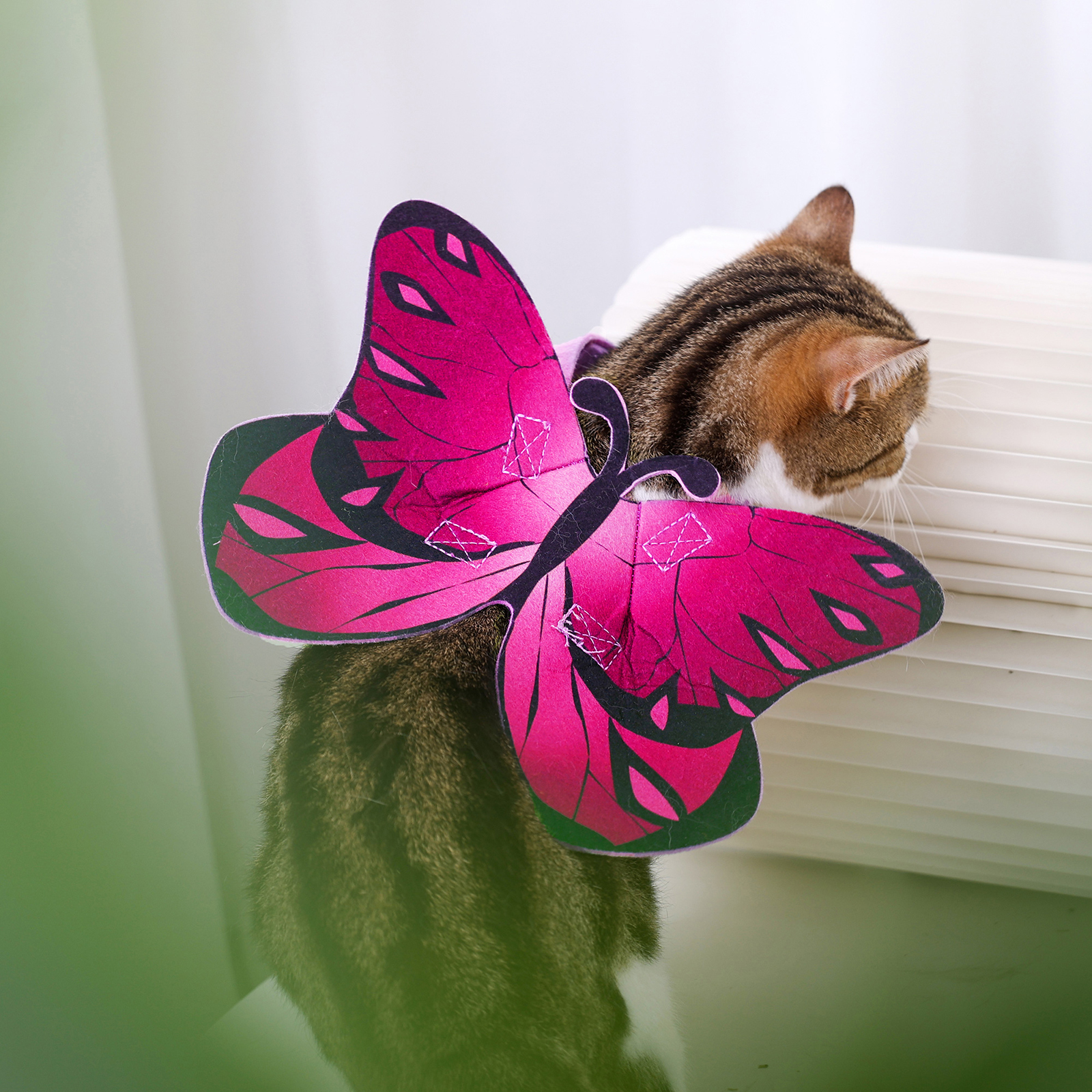 cat butterfly costume