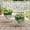 Black, variant on Bowayaoa Flower Cart with Wheels Wagon Planter Outdoor Garden Planter Decor Planter for Patio Balcony Trolley Decoration Flower Pot, Indoor Backyard Balcon Decor