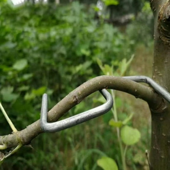 Masteelf  Garden Ties for Plants outside Fruit Tree Branch Shaper