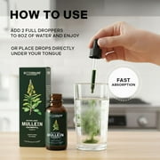 Betterbrand Mullein Drops for Lung Detox - Mullein Leaf Tincture with Chlorophyll - Helps support respiratory health, Alcohol-Free, 1 month supply - 60ml