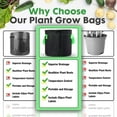 thumbnail image 5 of venrey 6-Pack 5 Gallon Plant Grow Bags, Premium Aeration Nonwoven Cloth Fabric Grow Bags with Sturdy Handle and Shrink String, Flowers/Vegetable Pots Container for Nursery Garden Planting 6-Pack 5-Gallon with 20 Plant Labels, 5 of 6