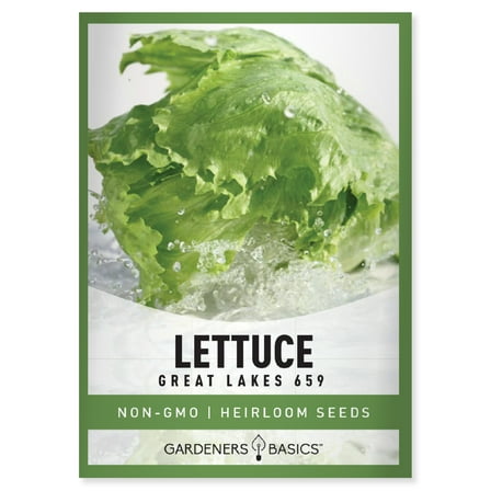 Great Lakes 659 Lettuce Seeds