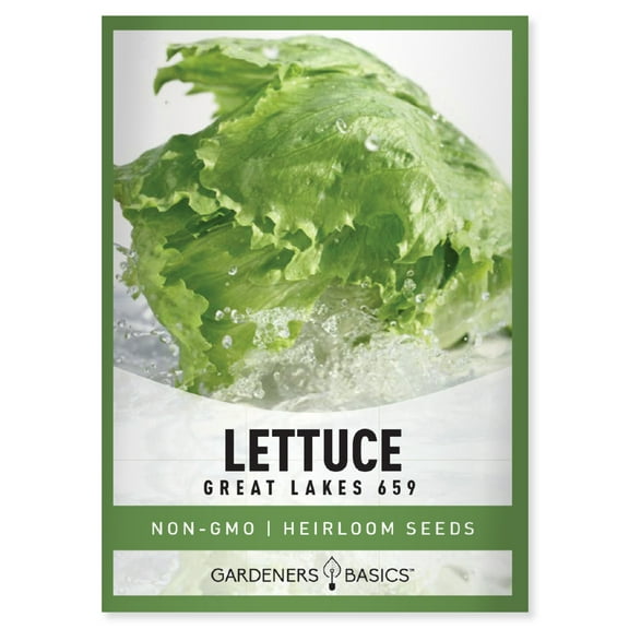 Great Lakes 659 Lettuce Seeds