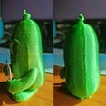 thumbnail image 7 of Cadorn Emotional Support 3D - Printed Bitter Gourd: Quirky Desk Decor, 7 of 7