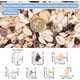 thumbnail image 2 of 180 g de conchas marinas diminutas, conchas de mar en espiral, cuentas de concha natural, para manualidades, 2 of 9