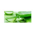 thumbnail image 2 of MISSHA Premium Cica Aloe Soothing Gel 300ml, 2 of 4