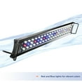 thumbnail image 4 of Aqueon LED OptiBright Light Fixture 30-36 Inches, 4 of 9