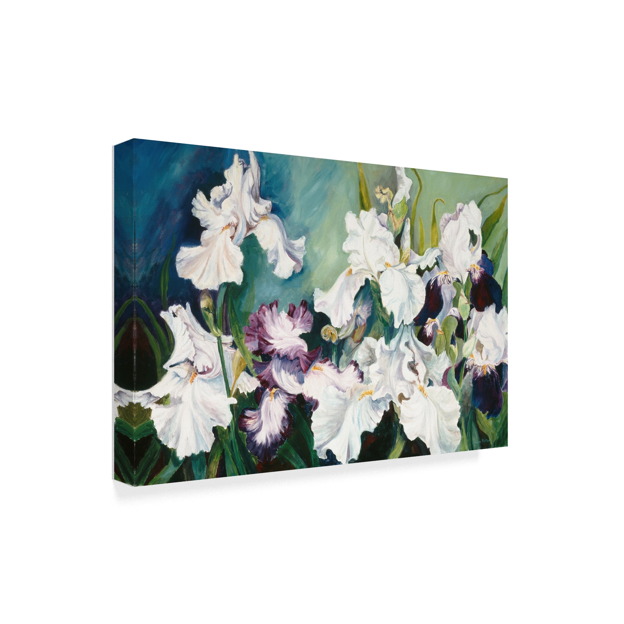 Trademark Fine Art 'Plum And White Iris' Canvas Art by Joanne Porter