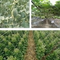 thumbnail image 3 of Garden Netting Plant Trellis Netting Plastic Mesh Plant Pea Netting For Climbing Plants Bean Fruits Vegetable, 3 of 8