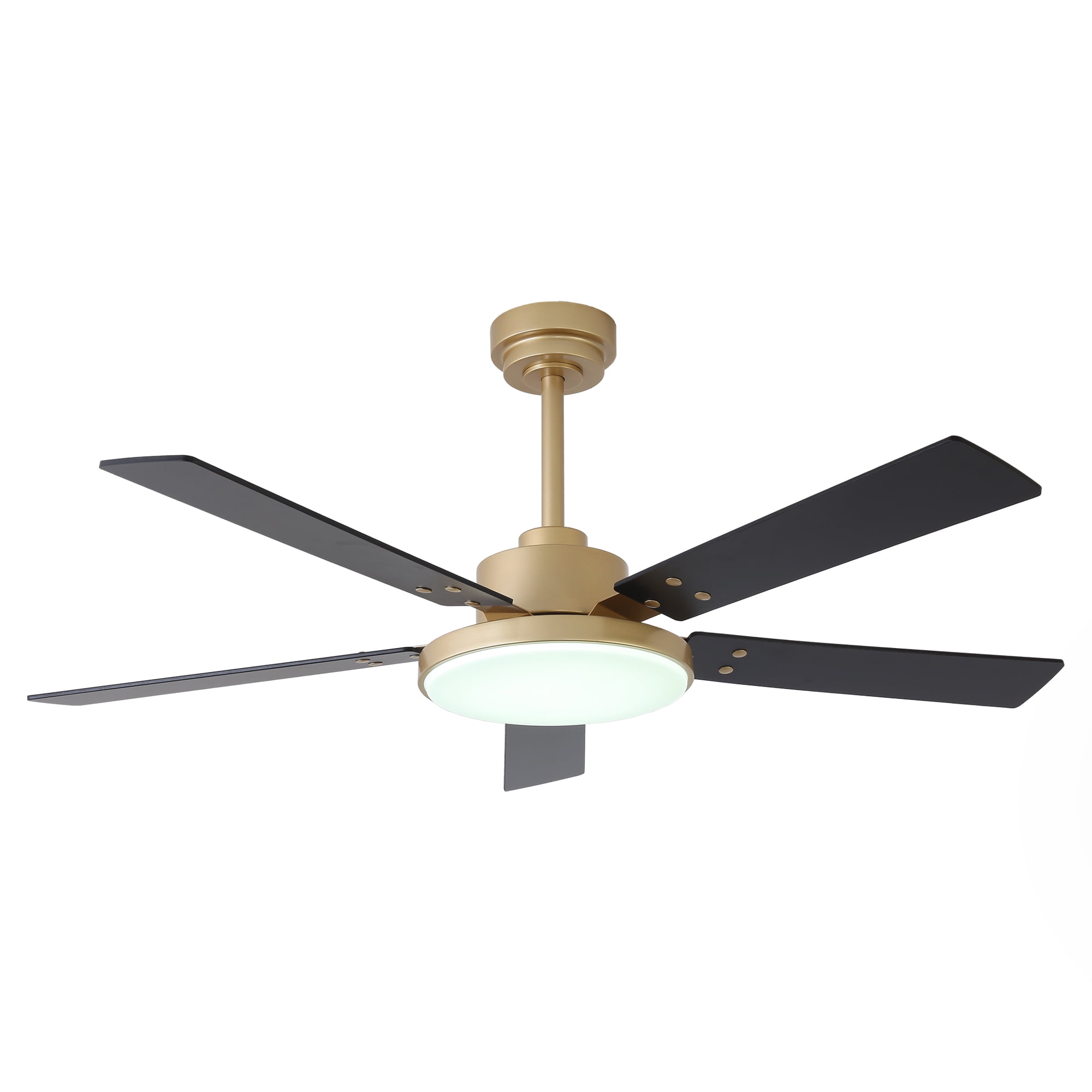 52" Modern Gold DC Motor Smart Ceiling Fan with Integrated LED Light and Remote,App Control