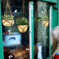 thumbnail image 5 of Pegatinas para ventanas: 1 impresionante pegatina estática decorativa con diseño de maceta verde para evitar que los pájaros choquen contra las ventanas, 5 of 5
