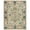 Ivory / Beige, variant on SAFAVIEH Anatolia Rosalin Floral Area Rug, Light Grey/Dark Brown, 6' x 9'