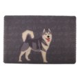 thumbnail image 1 of Lindo cojín de plástico elástico para mascotas, perros, gatos, todas las estaciones (perro), 1 of 5