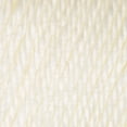 thumbnail image 3 of (2 pack) Caron® Simply Soft® Yarn, #4 Medium Acrylic Yarn, 6oz/170g, 315 yds, Off White, 3 of 5