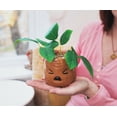 thumbnail image 3 of Harry Potter Mandrake Face 6-Inch Ceramic Planter with Artificial Succulent, 3 of 7