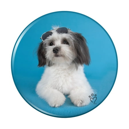 

Maltese Papillion Puppy Dog Cool Sunglasses Shades Kitchen Refrigerator Locker Button Magnet
