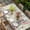 green, variant on Bunny Easter Table Cloths for 3 Foot Rectangle Tables, Pink Spring Floral Eucalyptus Leaves Rabbits Patio Waterproof Elastic Fitted Tablecloths, Washable Rectangular Table Cover for Camping