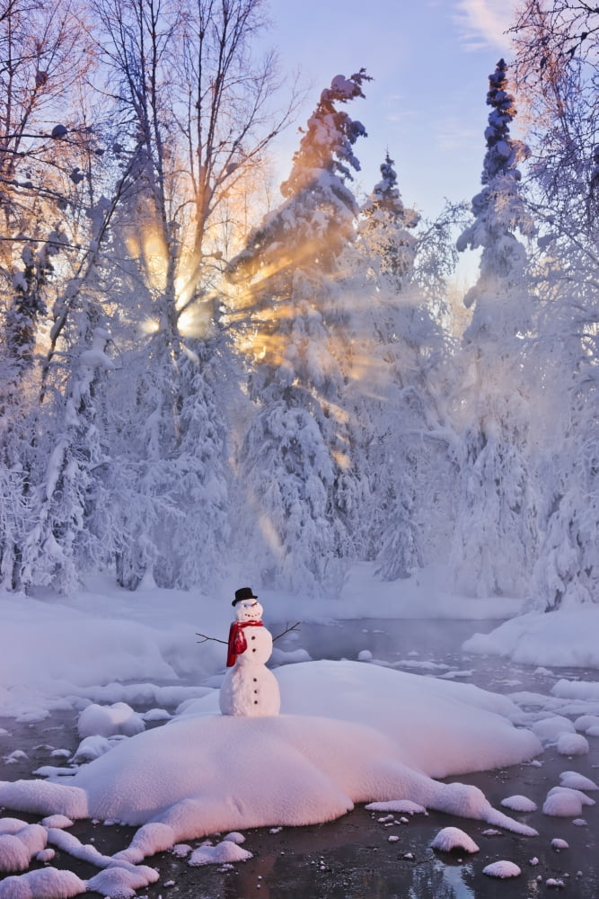 Snowman Standing On A Small Island In The Middle Of A Stream With Sunrays Shining Through Fog And Hoar Frosted Trees In The Background Russian Jack Springs Park Anchorage Southcentral Alaska Winter Di