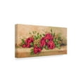 thumbnail image 2 of Trademark Fine Art ' Roses to Remember' Canvas Art by Barbara Mock, 2 of 3