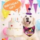 thumbnail image 4 of 2 pañuelos de cumpleaños para perros, pañuelo triangular a cuadros para niña de cumpleaños para perros, suministros de cumpleaños para perros medianos y grandes, 65*45*45cm, 4 of 5